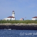 lighthouse_island_seal_machias_h_2323_can1029.jpg